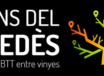 camins del penedes btt peu senderisme vinyes