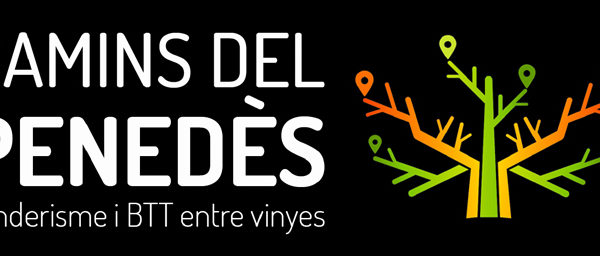 camins del penedes btt peu senderisme vinyes