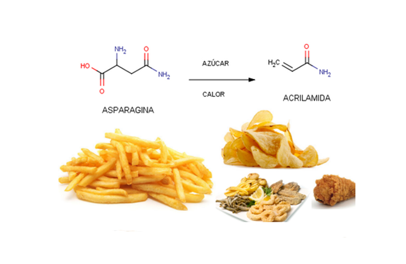 Proposta d’un codi de bones pràctiques en l’hostaleria europea per a minimitzar la presència de acrilamida en els aliments