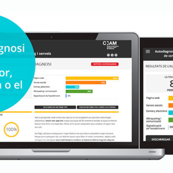Autodiagnosi TIC per a empreses de comerç i de serveis