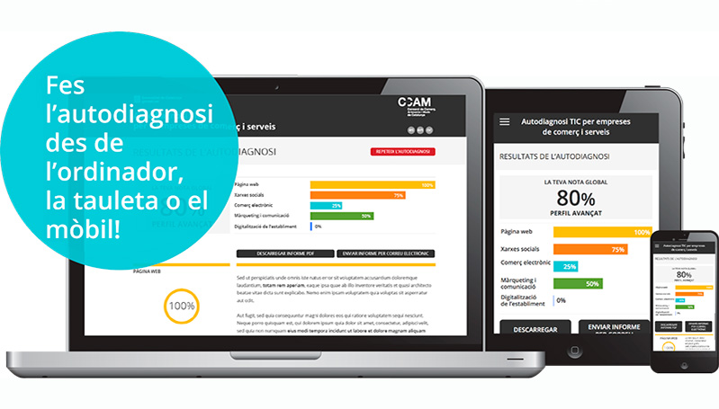 Autodiagnosi TIC per a empreses de comerç i de serveis