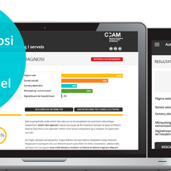 Autodiagnosi TIC per a empreses de comerç i de serveis
