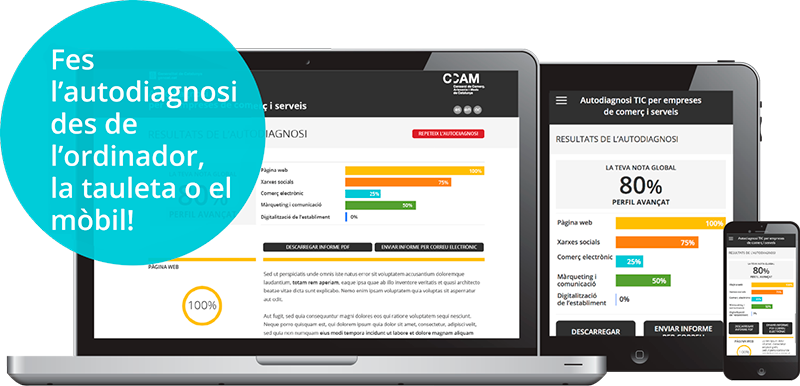 Autodiagnosi TIC per a empreses de comerç i de serveis
