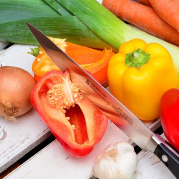 Curs manipuladors aliments