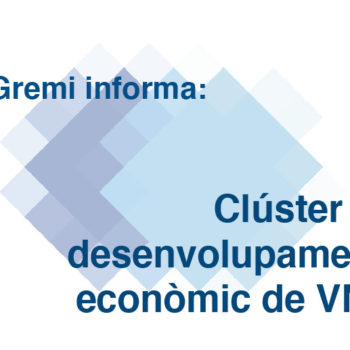 clúster de desenvolupament econòmic de VNG