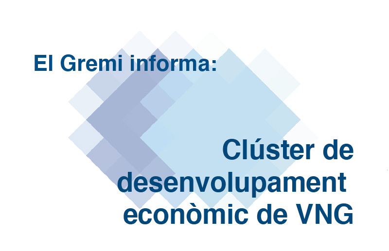 clúster de desenvolupament econòmic de VNG
