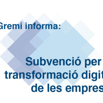 subvenció per la transformació digital de les empreses