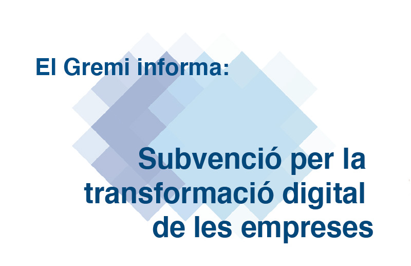 subvenció per la transformació digital de les empreses