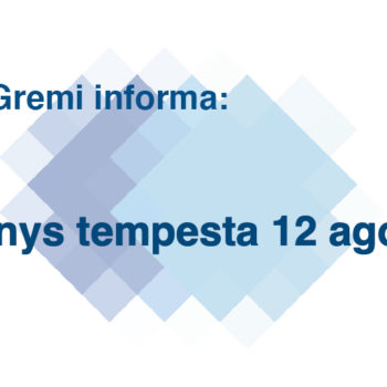 Danys tempesta 12 agost