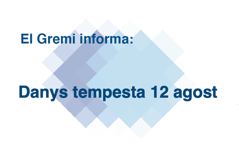 Danys tempesta 12 agost