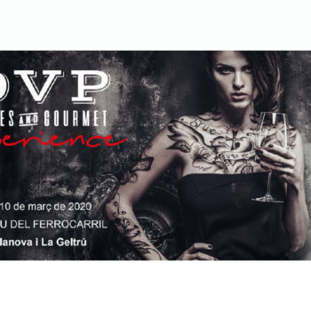Wines & Gourmet Experience