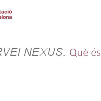 Servei Nexus: Servei d'informació per a la creació i creixement d'empreses.