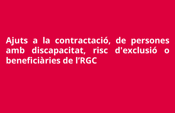 Ajut a la contractació de persones amb discapacitat