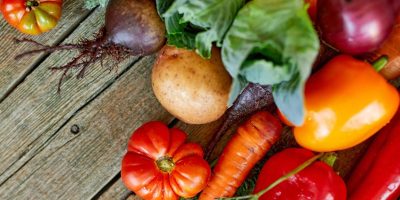 Ajuts per al foment de la transformació del sistema agroalimentari i pesquer