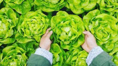 Presentació del Baròmetre de la seguretat alimentària a Catalunya, 2022